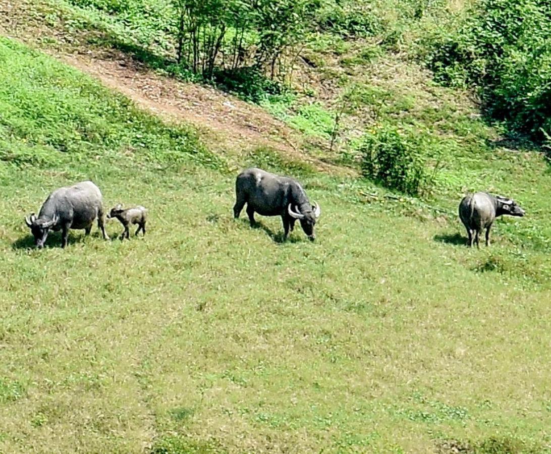 Villa Scenns Sangkhla Buri Bagian luar foto